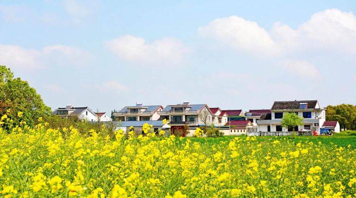 河南焦作市發(fā)文推進農(nóng)村人居環(huán)境整治、農(nóng)村污水治理、黑臭水體治理