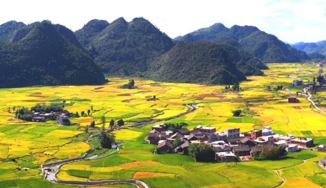 生態(tài)環(huán)境部、農(nóng)業(yè)農(nóng)村部發(fā)布《關(guān)于進一步推進農(nóng)村生活污水治理的指導意見》